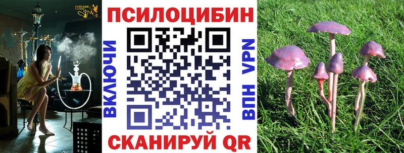 Купить закладки  Оханск  Галлюциногенные грибы прущие грибы 